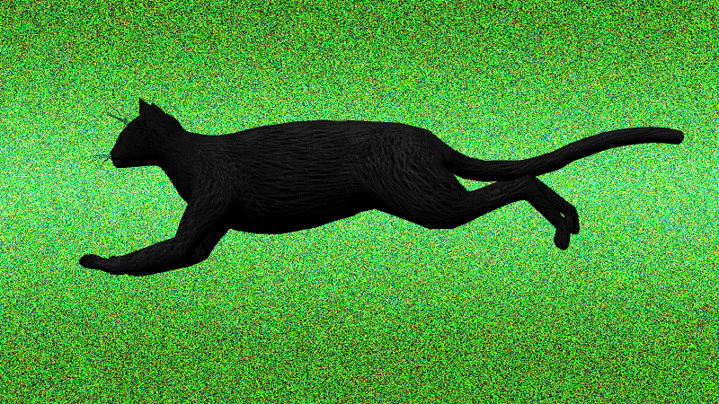 A Cat Running GIF by Lance Mitchell